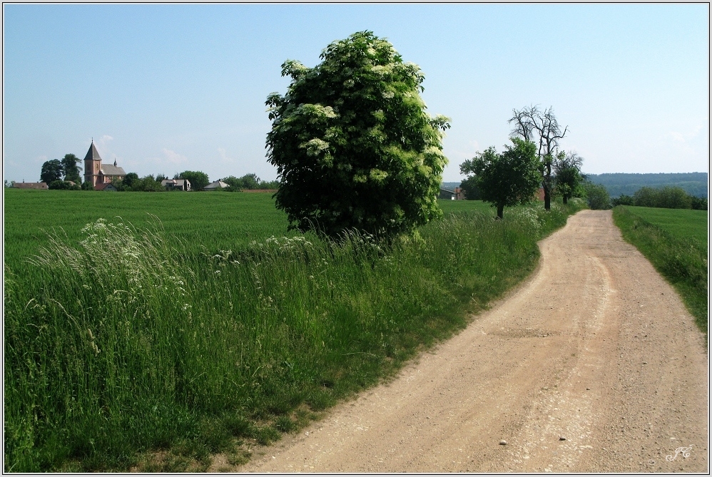 Cesta na Hrádek