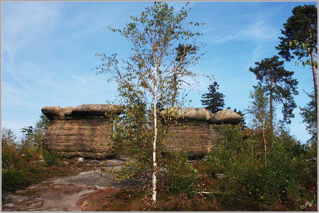 Slavenské hřiby